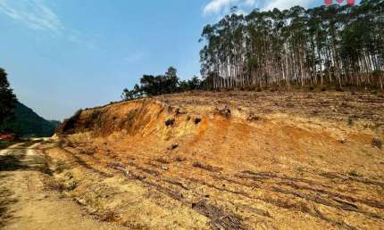 Terreno à venda no bairro Vargem Grande em Apiúna/SC