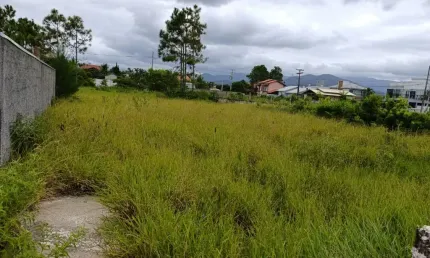 Terreno à venda na Avenida Beira Mar, 4050, Pinheira, Palhoça