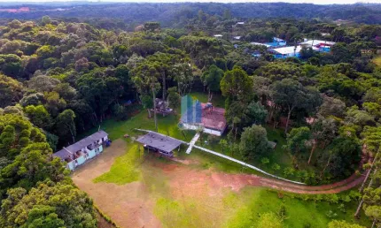 Chácara / sítio com 3 quartos à venda na rua humphreys pereira moeckel, 2550, borda do campo, são josé dos pinhais, 20000 m2 por r$ 650.000