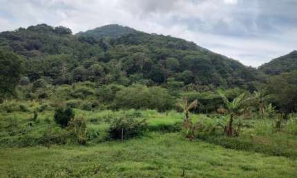 Chácara / sítio à venda na Caminho do Morro dos Caboclos, 50, Campo Grande, Rio de Janeiro, 2911 m2 por R$ 259.900