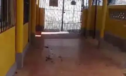 Casa com 2 quartos para alugar no Pestana, Osasco 