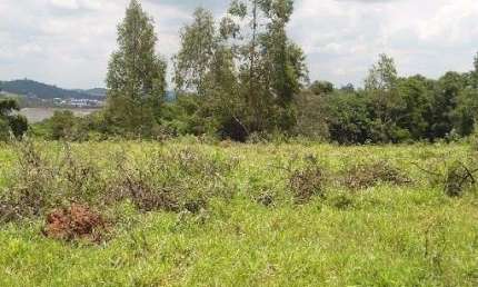Área à venda, localizada no Bairro Estiva em Louveira - SP, com 50 mil m²,  um dos locais mais privilegiados da Cidade, localização estratégica