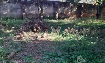 Vendo ótimo terreno na samuel martins, v. progresso em jundiaí - te 850 m², próximo à praça, com frente para a av. samuel martins