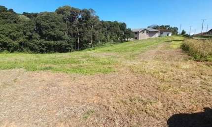 Chácara / sítio à venda na Zona Rural, Campo Largo 
