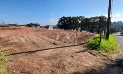 Terreno à venda no Loteamento Miranda, Campo Largo 
