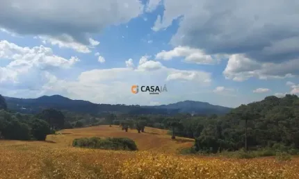 Fazenda à venda no Bateias, Campo Largo 