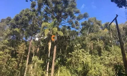 Chácara / sítio com 1 quarto à venda na Zona Rural, Contenda 