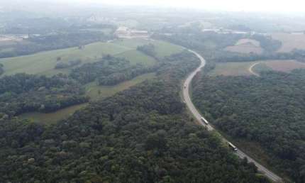 Terreno comercial à venda no Botiatuva, Campo Largo 