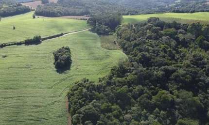 Terreno Rural com 104.000m², água mineral e natureza em Bateias!