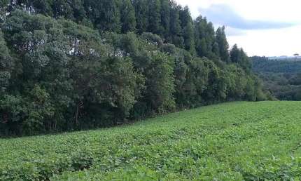 Sua Oportunidade na PR-510: Terreno Rural Estratégico em Balsa Nova!