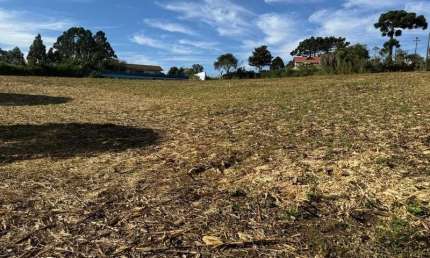 TERRENO DOS SEUS SONHOS EM LOCALIZAÇÃO PRIVELIGIADA