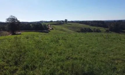 Chácara com vista de cinema a 10 min do centro de Campo Largo!