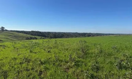 Chácara com vista de cinema a 10 min do centro de Campo Largo!
