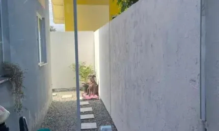 Apartamento venda 2 dormitórios ribrirão da ilha floripa