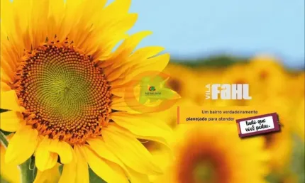 Domingo dia 17/12 lançamento lotes de 150 m condomínio vila falh em indaiatuba sp