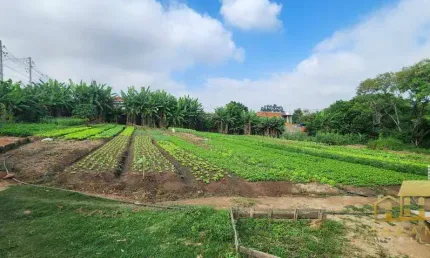 Área à venda, 3000 m² por r$ 2.200.000 - vila mineirão - sorocaba/sp