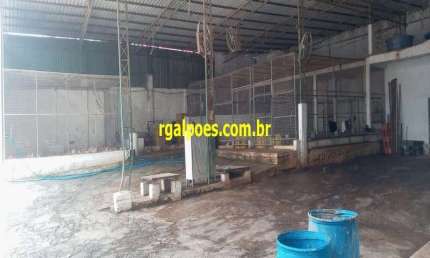 Barracão / Galpão / Depósito com 4 salas para alugar na Avenida Presidente Lincoln, 3244, Jardim Meriti, São João de Meriti por R$ 20.000