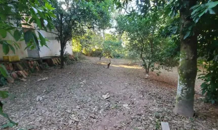 Terreno à venda no Novo Rio das Ostras, Rio das Ostras 