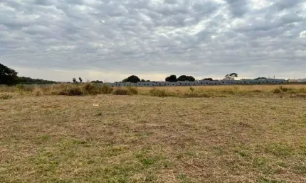 Terreno à venda, 200 m² por r$ 95.000,00 - jardim maria caputi - barretos/sp
