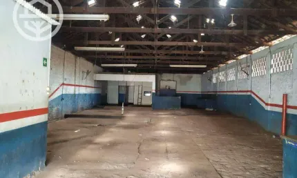 Barracão à venda, 339 m² por R$ 350.000,00 - Centro - Barretos/SP