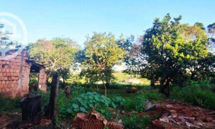 Terreno à venda, 540 m² por R$ 200.000,00 - São Salvador - Barretos/SP