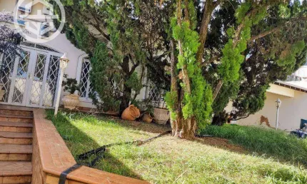 Casa com 3 dormitórios à venda, 395 m² por R$ 1.800.000,00 - Centro - Barretos/SP