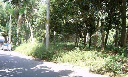 Terreno à venda, 6462 m² por R$ 2.550.000,00 - Chácaras dos Lagos - Cotia/SP