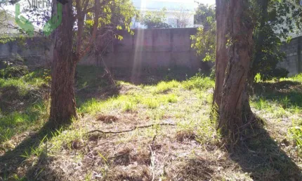 Terreno à venda, 556 m² por R$ 700.000,00 - Parque dos Príncipes - São Paulo/SP
