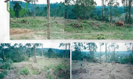 Terreno à venda, 1550 m² por R$ 420.000,00 - Invernada - Embu das Artes/SP