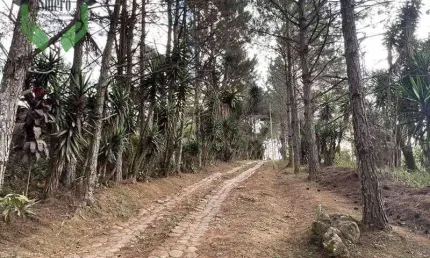 Área à venda, 18455 m² por R$ 7.000.000,00 - Cotia - Cotia/SP