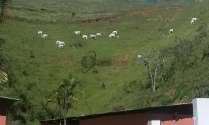 Chácara / sítio à venda na Zona Rural, Miguel Pereira 