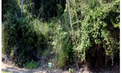 Terreno à venda na Vila Progresso, Niterói 