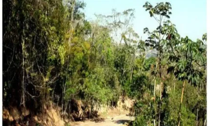 Terreno à venda na Vila Progresso, Niterói 
