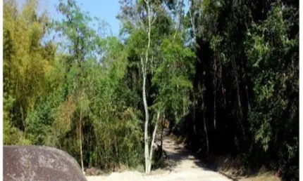 Terreno à venda na Vila Progresso, Niterói 