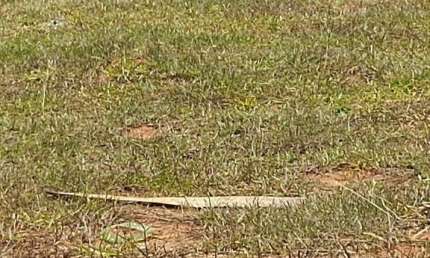 Terreno em condomínio fechado à venda na Avenida Doutor José Caetano Graziosi, 955, Wanel Ville, Sorocaba por R$ 310.000
