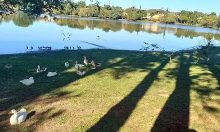 Terreno comercial à venda na estrada do ipatinga, 401, vivendas do lago, sorocaba por r$ 450.000