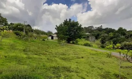 Chácara / sítio com 4 quartos à venda na Estrada do Cercado, cx 837, Bairro do Cercado, 55, Jundiacanga, Araçoiaba da Serra por R$ 1.500.000