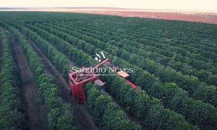 Fazenda de Café À Venda, R$ 330.000.000 - 2.050 Hectares na Região de Buritizeiro – MG