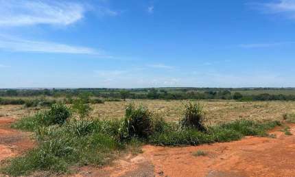 Terreno comercial para venda em Vila Rica, 30,000m²