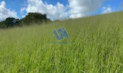 Fazenda à venda na Praça Presidente Médice, S/n, Centro, Pedrão