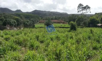 Fazenda à venda na Avenida Eronildes Soares Bonfim 148 Lote 02 Quadra 10, S/N, Centro, Araçás