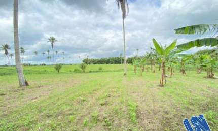 Fazenda com 1 sala à venda na Zona Rural, S/N, Zona Rural, Amélia Rodrigues