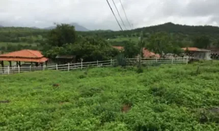 Fazenda à venda na Zona Rural, S/N, Zona Rural, Tanquinho