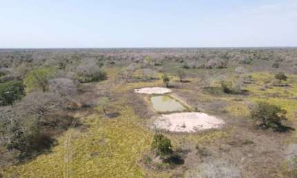Fazenda com 1 sala à venda na Poconé, 2, Zona Rural, Poconé por R$ 11.000.000