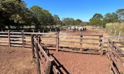 Fazenda com 2 salas à venda na Mt 244, 15, Zona Rural, Acorizal por R$ 1.900.000