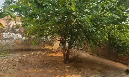 Casa com 3 quartos à venda na josé luiz borges garcia, 7, barra do pari, cuiabá por r$ 300.000