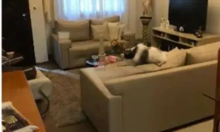 Casa assobradada no jardim do mar em são bernardo do campo
