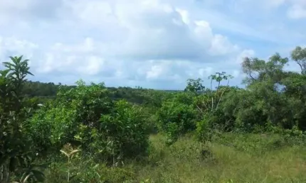 TERRENO EM MALHADAS NO ASFALTO perto de Praia do Forte