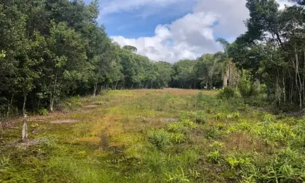 Terreno à venda na Zona Rural, Pontal do Paraná 