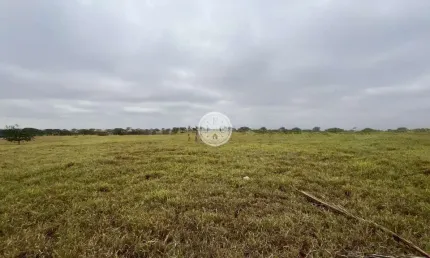 Terreno à venda no avelino alves palma, ribeirão preto  por r$ 64.000.000